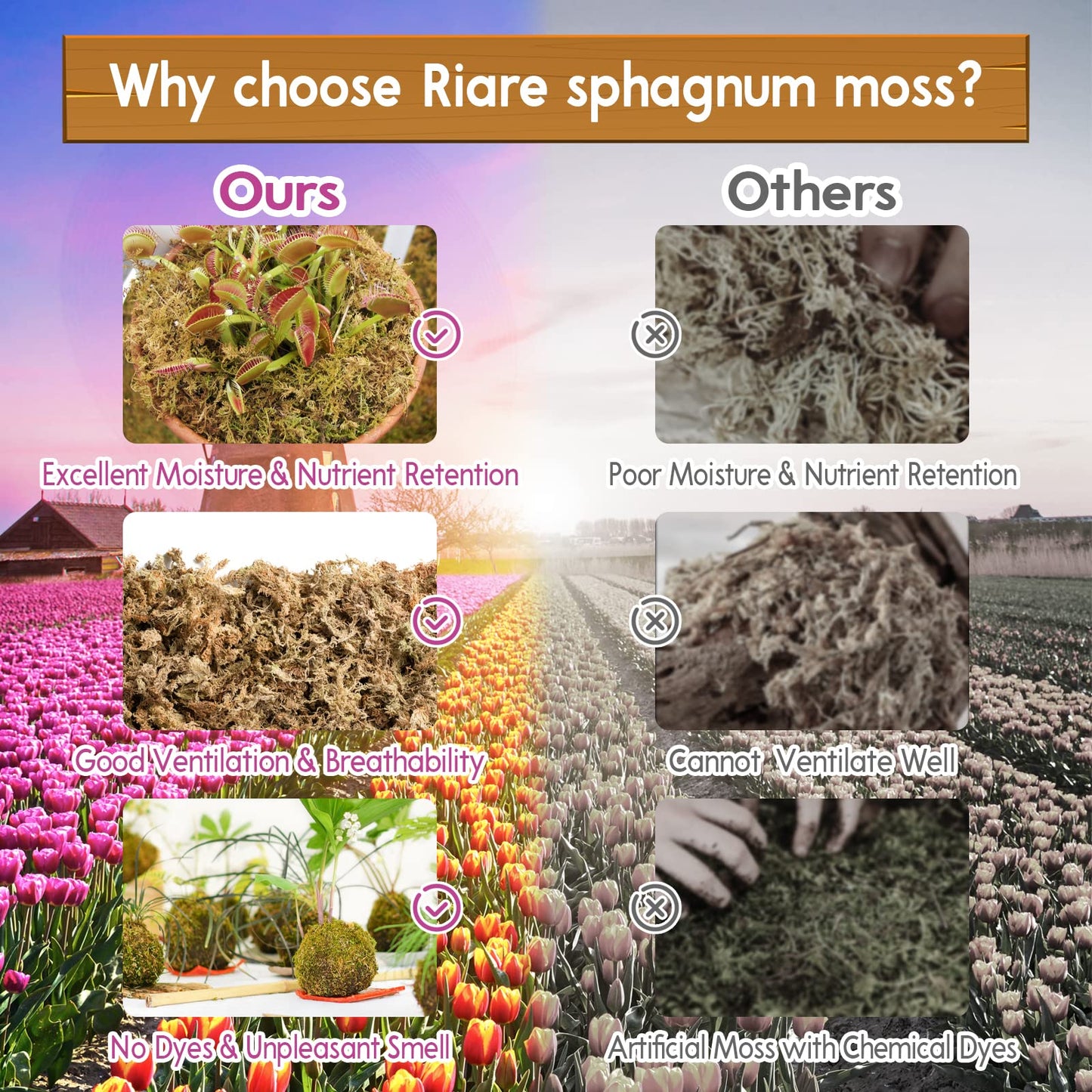 Riare 300g Natural Sphagnum Moss Dried Forest Moss Long Fibered Orchid Moss Potting Mix for Potted Plants Carnivorous Plants Moss Orchid Potting Mix,Reptile Substrate Habitat Decoration (300g)