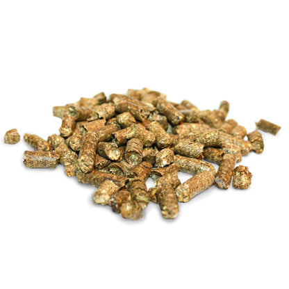 Komodo Forest Terrain Orchid Bark Chips, 12 Litre, Natural Terrain for Reptiles, Orchid Bark Chips, Bark Chips for Reptiles, Reptile Terrain, Reptile Bedding, Large Orchid Bark Chips