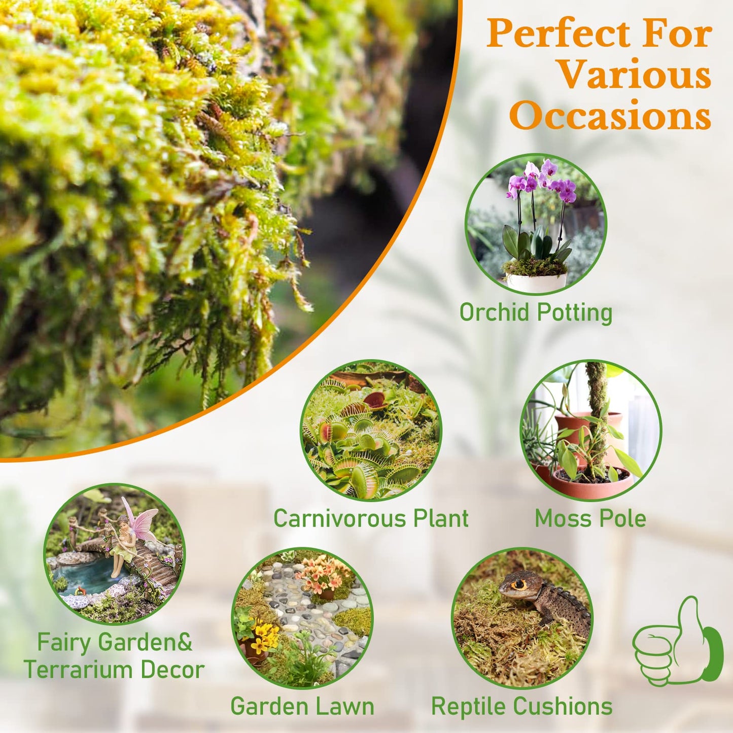 Riare 300g Natural Sphagnum Moss Dried Forest Moss Long Fibered Orchid Moss Potting Mix for Potted Plants Carnivorous Plants Moss Orchid Potting Mix,Reptile Substrate Habitat Decoration (300g)