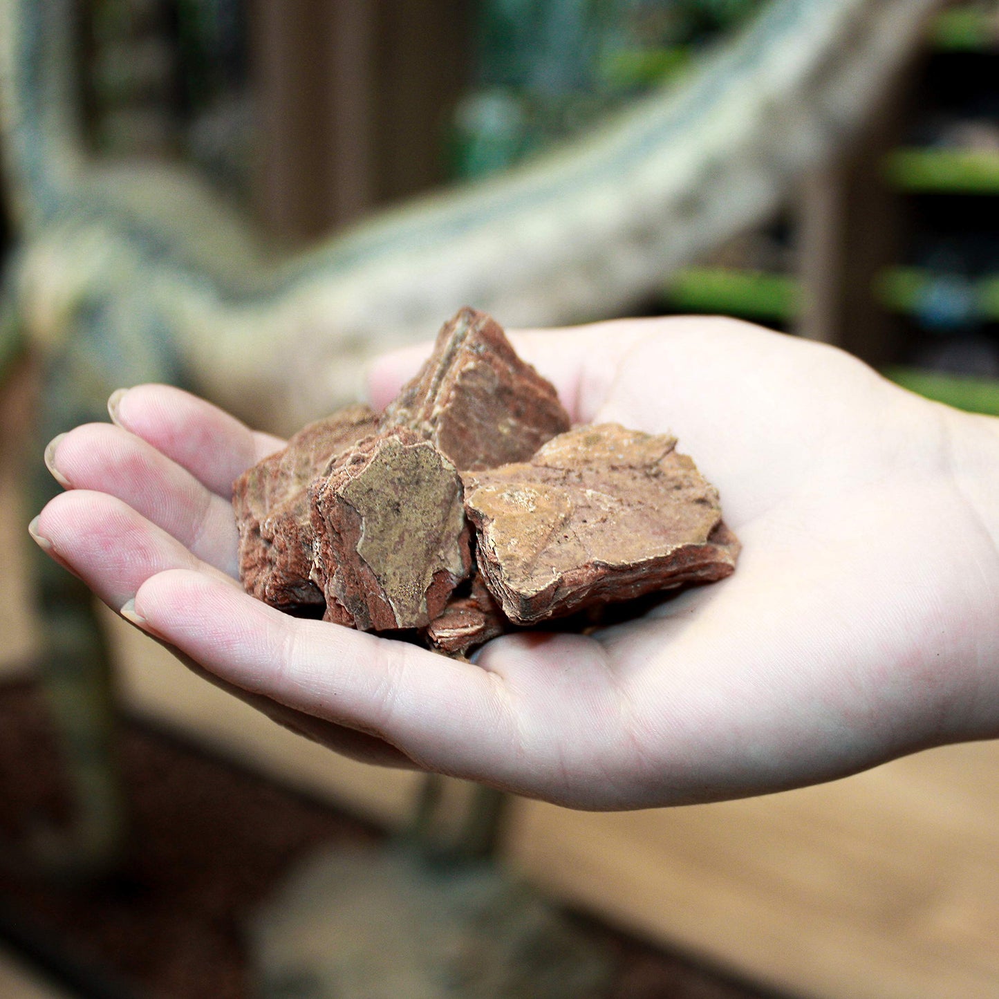 Komodo Forest Terrain Orchid Bark Chips, 12 Litre, Natural Terrain for Reptiles, Orchid Bark Chips, Bark Chips for Reptiles, Reptile Terrain, Reptile Bedding, Large Orchid Bark Chips