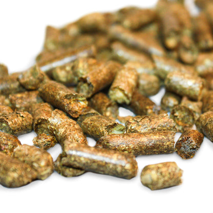 Komodo Forest Terrain Orchid Bark Chips, 12 Litre, Natural Terrain for Reptiles, Orchid Bark Chips, Bark Chips for Reptiles, Reptile Terrain, Reptile Bedding, Large Orchid Bark Chips