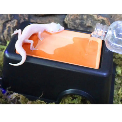 1pc Reptile Accessories Cave Animal Rest Nest Nest Rest Creative Hide Animal Rest Nest Nest Pet Supplies Habitat Humidifying