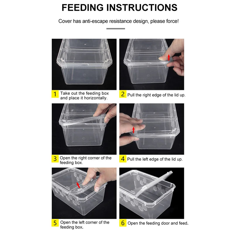 Reptile Breeding Feeding Box Transparent  Insect Rearing Hatching Containers Habitat Cage Inverts,Hatchling colubrids
