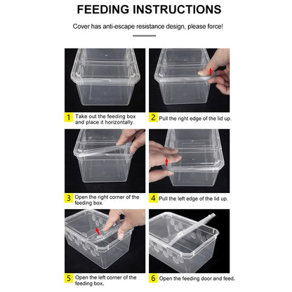 Reptile Breeding Feeding Box Transparent  Insect Rearing Hatching Containers Habitat Cage Inverts,Hatchling colubrids
