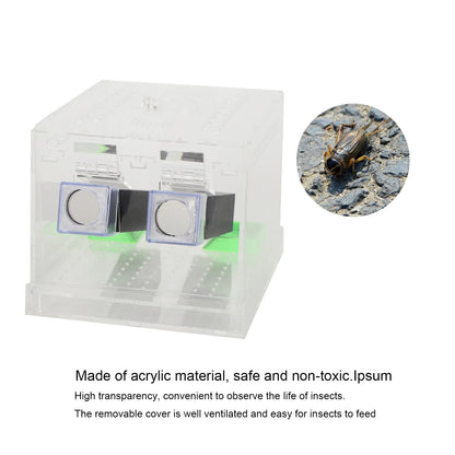 Acrylic Feeding Cricket Keeper Pen with Tubes Insect Cockroach Care Kit