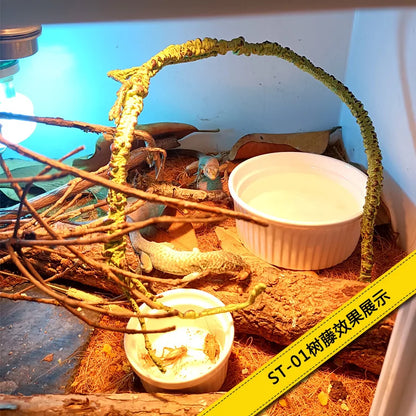 Reptile Landscaping Vine Fake Branches Rainforest