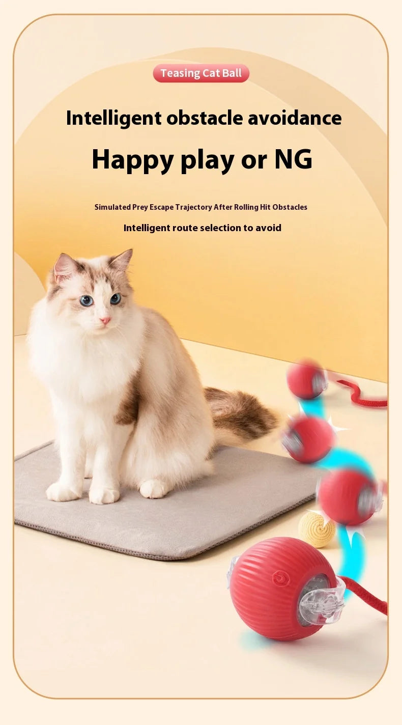 Rechargeable Cat  or Dog Toy Smart Pet Interaction Automatic Rolling Ball  (UK )
