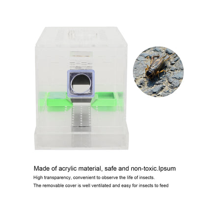 Acrylic Feeding Cricket Keeper Pen with Tubes Insect Cockroach Care Kit