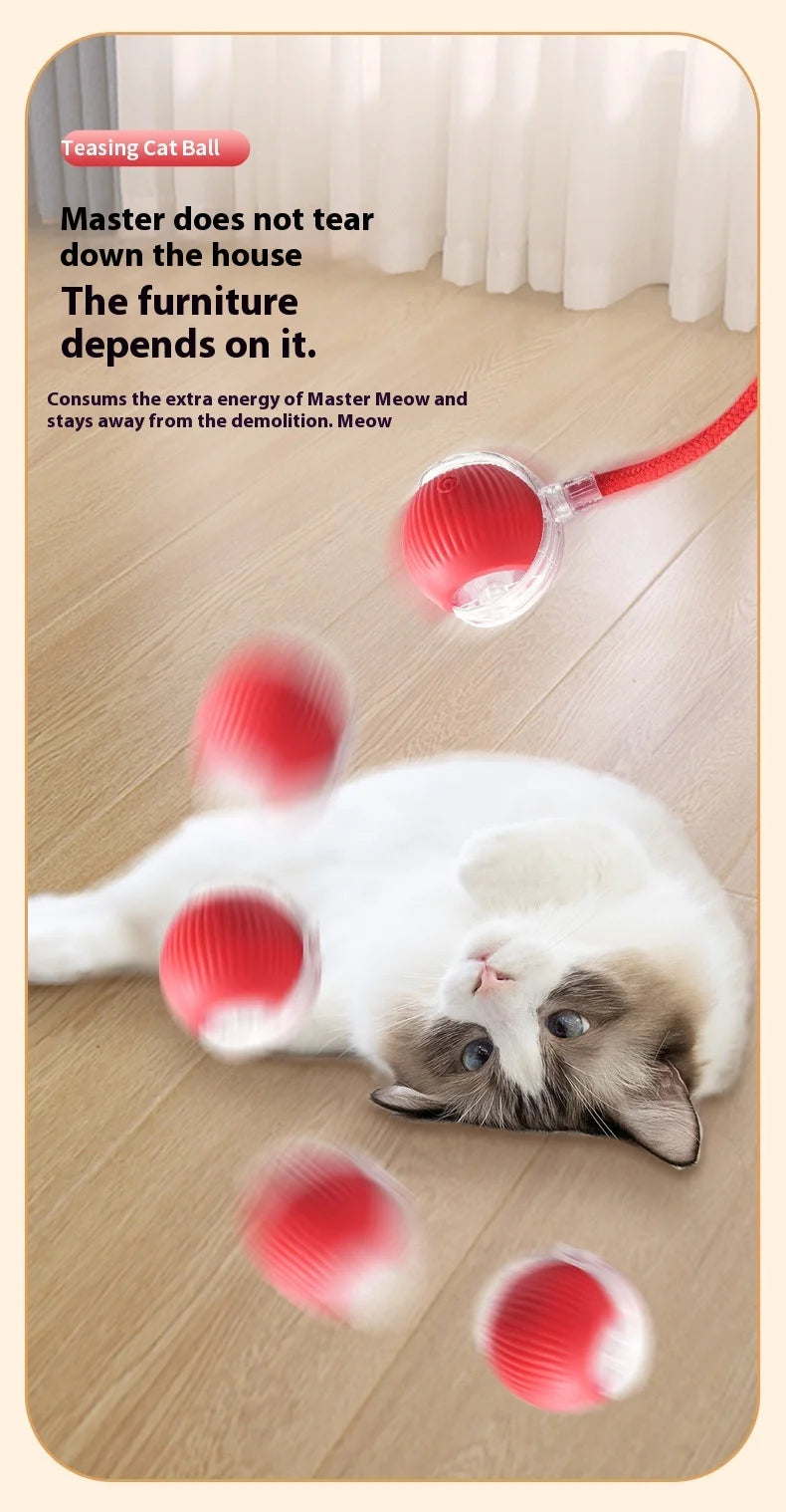 Rechargeable Cat  or Dog Toy Smart Pet Interaction Automatic Rolling Ball  (UK )