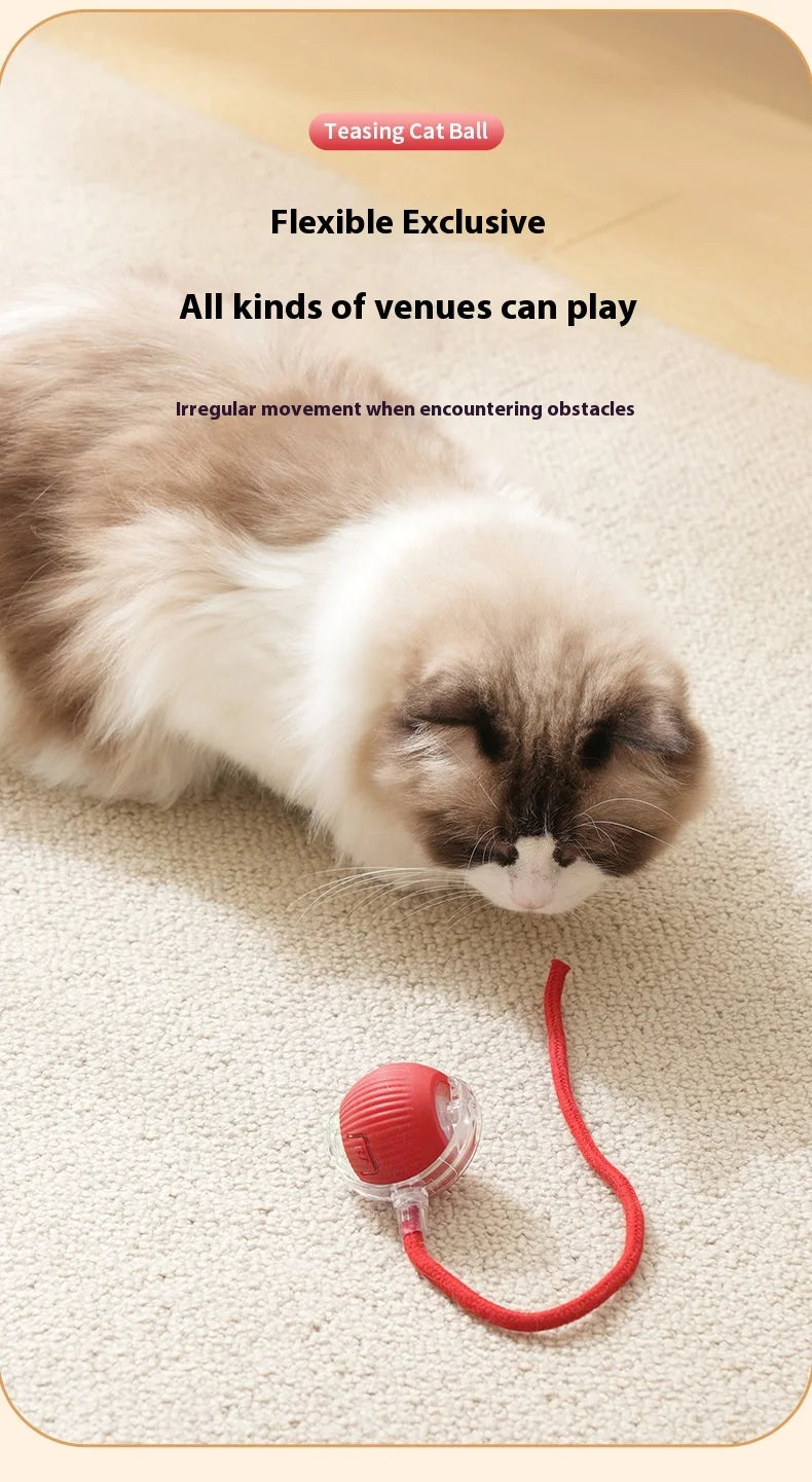 Rechargeable Cat  or Dog Toy Smart Pet Interaction Automatic Rolling Ball  (UK )