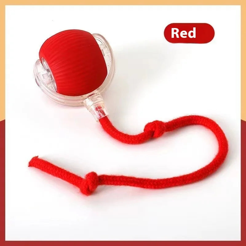 Rechargeable Cat  or Dog Toy Smart Pet Interaction Automatic Rolling Ball  (UK )