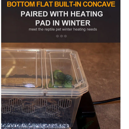 Reptile Breeding Feeding Box Transparent  Insect Rearing Hatching Containers Habitat Cage Inverts,Hatchling colubrids