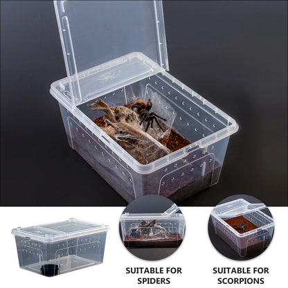 Reptile Feeding Box /Invert Housing  plastic