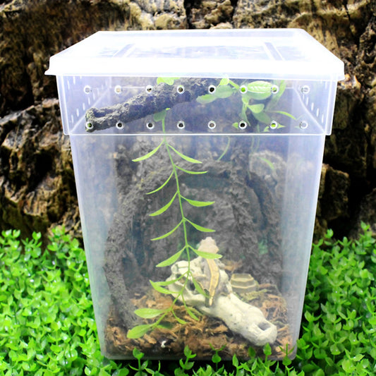 New Reptile Feeding Box /Tarantula Enclosure 25 x 20 x 20cm
