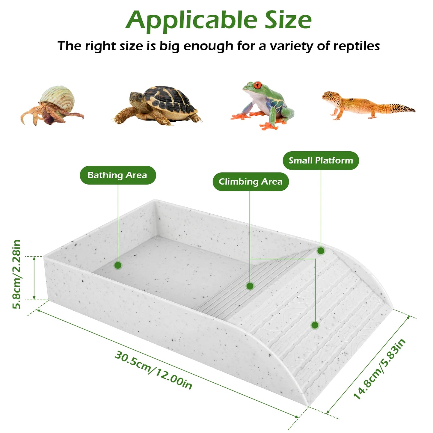 Tortoise Food Dish with Ramp and Basking Platform Leaf Tortoise Water Food Bowls Reptile Water Dish Turtle Reptile Pool
