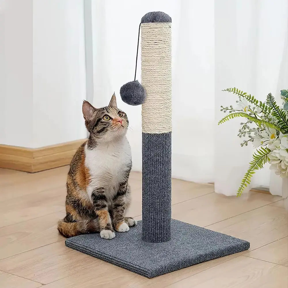 Cat Scratching Post