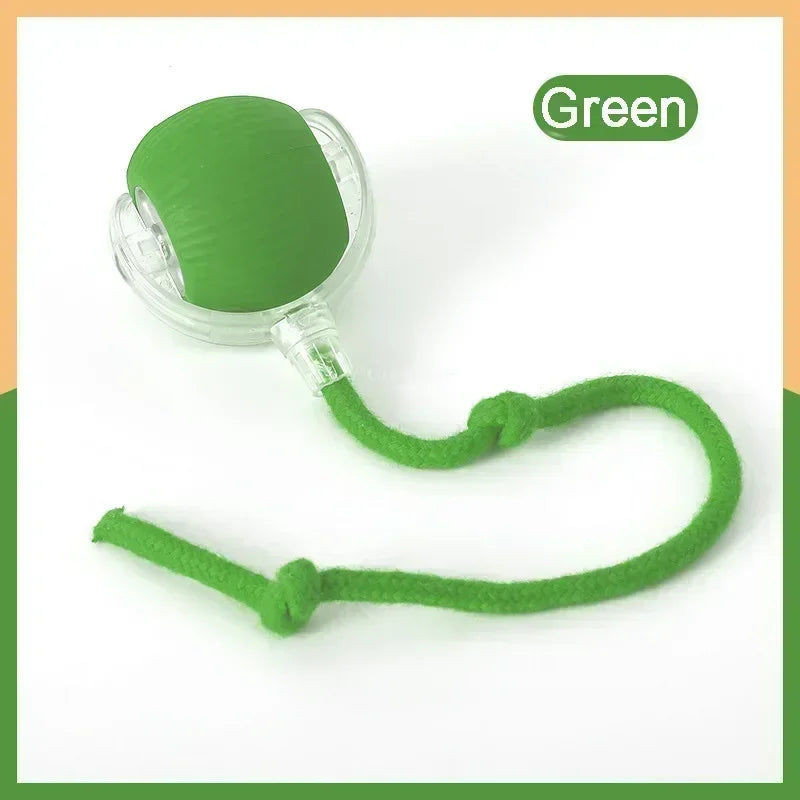 Rechargeable Cat  or Dog Toy Smart Pet Interaction Automatic Rolling Ball  (UK )