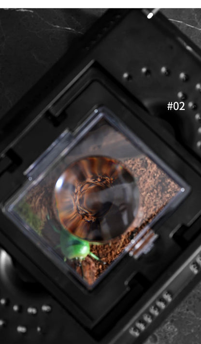 Transparent LED Light Reptile Animal Insect Pet Cage Breathable Feeding Portable Lamp Box Frog Snake ,Geckos,Inverts,spiders