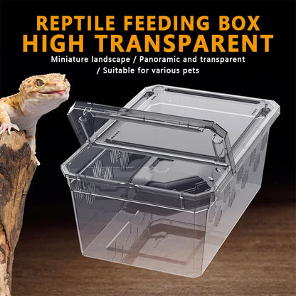 Reptile Breeding Feeding Box Transparent  Insect Rearing Hatching Containers Habitat Cage Inverts,Hatchling colubrids