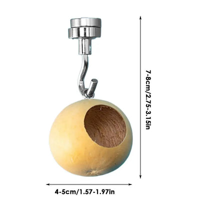Jumping Spider House Jumping Spider Hiding Nest With Magnetism Natural Gourds Jumping Spider Enclosure For Jumping Spiders