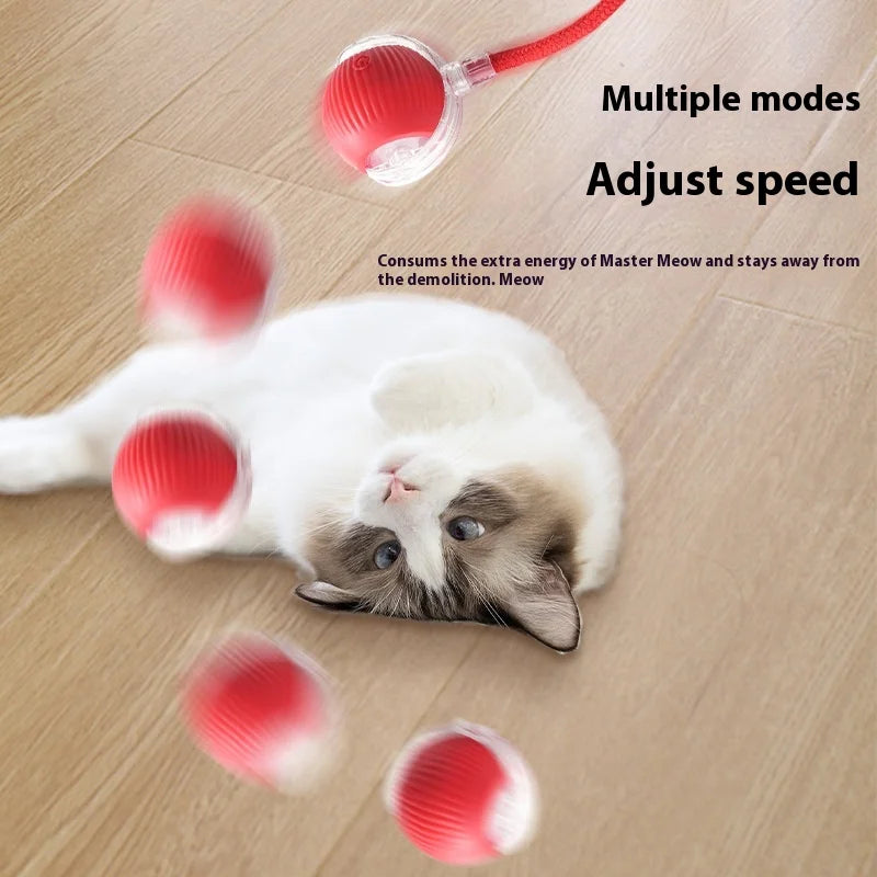 Rechargeable Cat  or Dog Toy Smart Pet Interaction Automatic Rolling Ball  (UK )