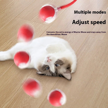 Rechargeable Cat  or Dog Toy Smart Pet Interaction Automatic Rolling Ball  (UK )