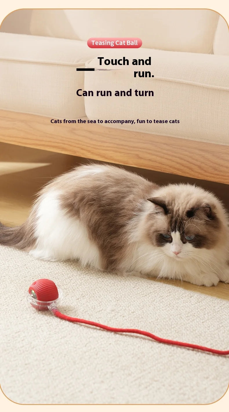 Rechargeable Cat  or Dog Toy Smart Pet Interaction Automatic Rolling Ball  (UK )