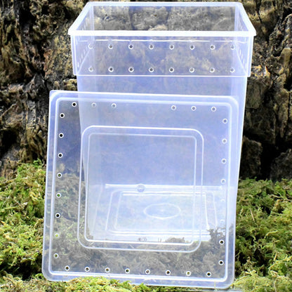 New Reptile Feeding Box /Tarantula Enclosure 25 x 20 x 20cm