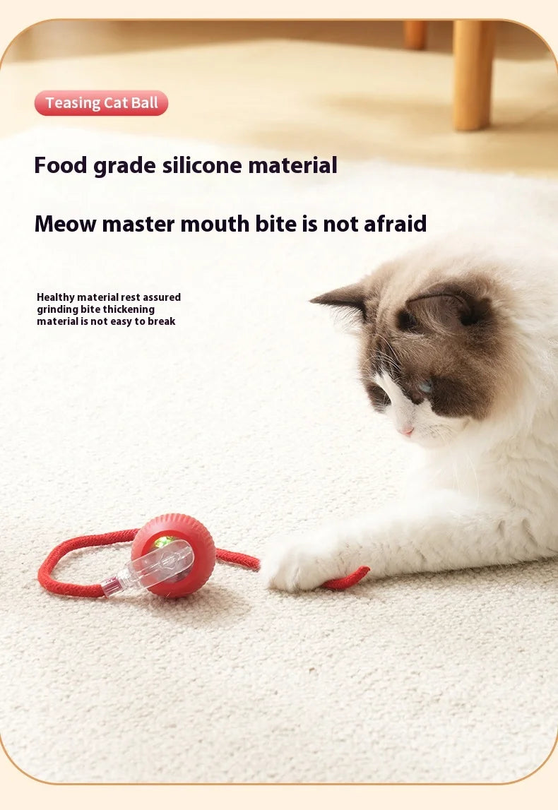 Rechargeable Cat  or Dog Toy Smart Pet Interaction Automatic Rolling Ball  (UK )