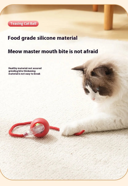 Rechargeable Cat  or Dog Toy Smart Pet Interaction Automatic Rolling Ball  (UK )