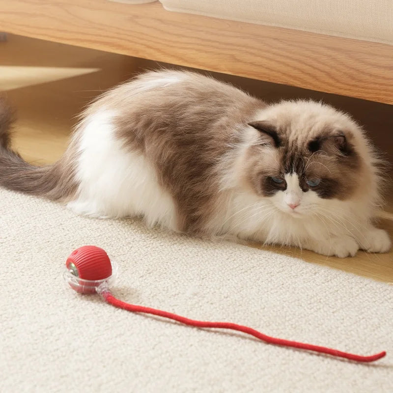 Rechargeable Cat  or Dog Toy Smart Pet Interaction Automatic Rolling Ball  (UK )