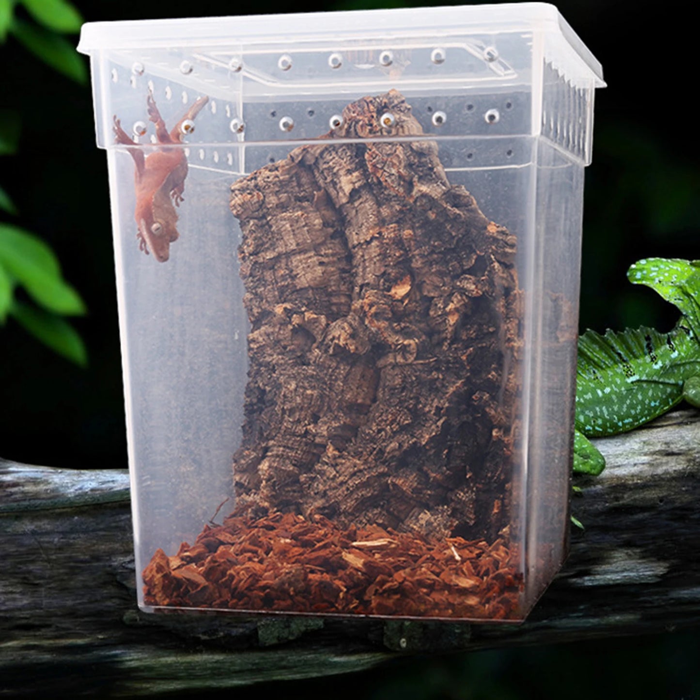New Reptile Feeding Box /Tarantula Enclosure 25 x 20 x 20cm