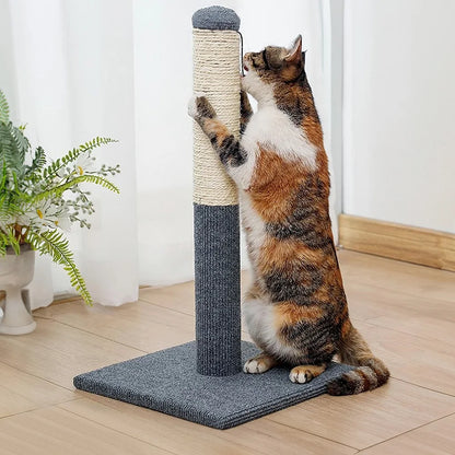 Cat Scratching Post