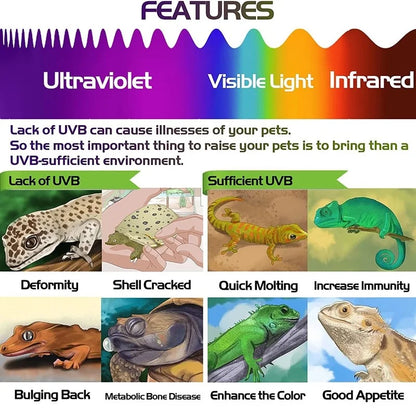 2pcs Fluorescent Color Changing Card Reptile Lighting UVA UVB Tester Test Card for Rapid Detection of UVB Amphibian Lamp