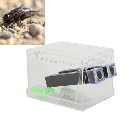 Acrylic Feeding Cricket Keeper Pen with Tubes Insect Cockroach Care Kit