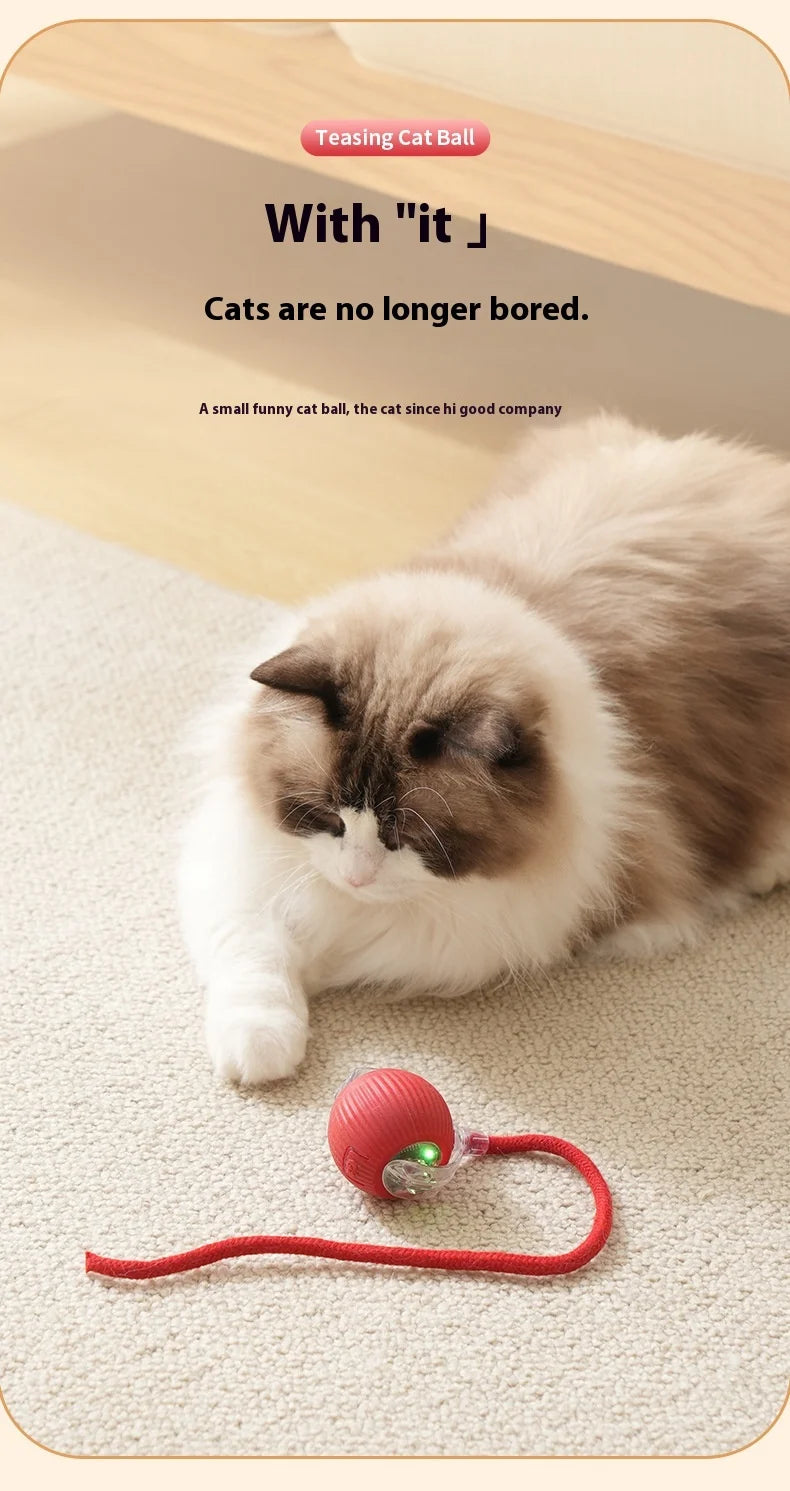 Rechargeable Cat  or Dog Toy Smart Pet Interaction Automatic Rolling Ball  (UK )