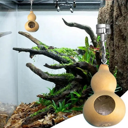 Jumping Spider House Jumping Spider Hiding Nest With Magnetism Natural Gourds Jumping Spider Enclosure For Jumping Spiders