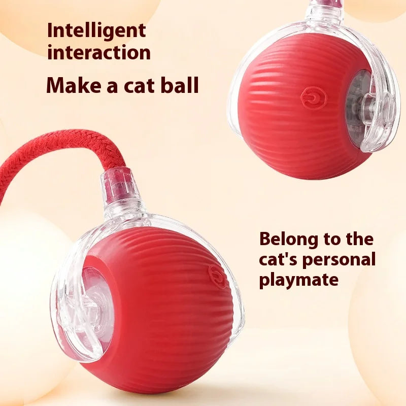 Rechargeable Cat  or Dog Toy Smart Pet Interaction Automatic Rolling Ball  (UK )