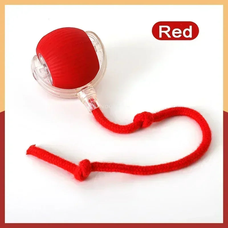 Rechargeable Cat  or Dog Toy Smart Pet Interaction Automatic Rolling Ball  (UK )