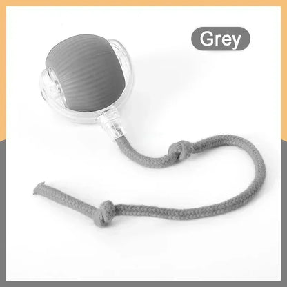 Rechargeable Cat  or Dog Toy Smart Pet Interaction Automatic Rolling Ball  (UK )