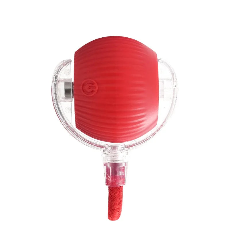 Rechargeable Cat  or Dog Toy Smart Pet Interaction Automatic Rolling Ball  (UK )
