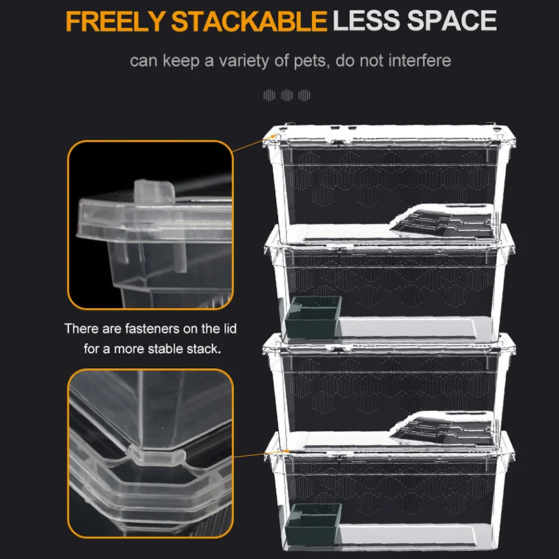 Reptile Breeding Feeding Box Transparent  Insect Rearing Hatching Containers Habitat Cage Inverts,Hatchling colubrids