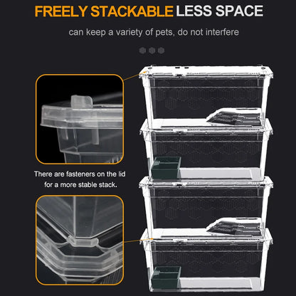 Reptile Breeding Feeding Box Transparent  Insect Rearing Hatching Containers Habitat Cage Inverts,Hatchling colubrids