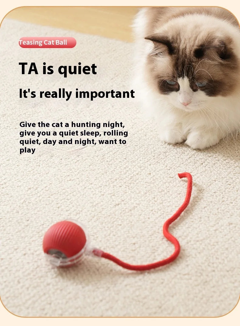 Rechargeable Cat  or Dog Toy Smart Pet Interaction Automatic Rolling Ball  (UK )