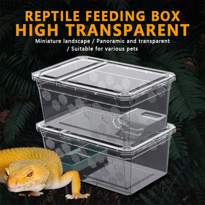 Reptile Breeding Feeding Box Transparent  Insect Rearing Hatching Containers Habitat Cage Inverts,Hatchling colubrids