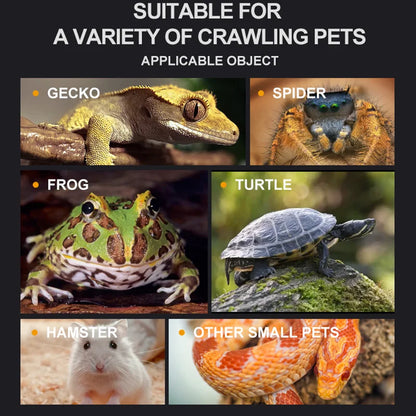 Reptile Breeding Feeding Box Transparent  Insect Rearing Hatching Containers Habitat Cage Inverts,Hatchling colubrids