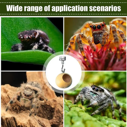 Jumping Spider House Jumping Spider Hiding Nest With Magnetism Natural Gourds Jumping Spider Enclosure For Jumping Spiders