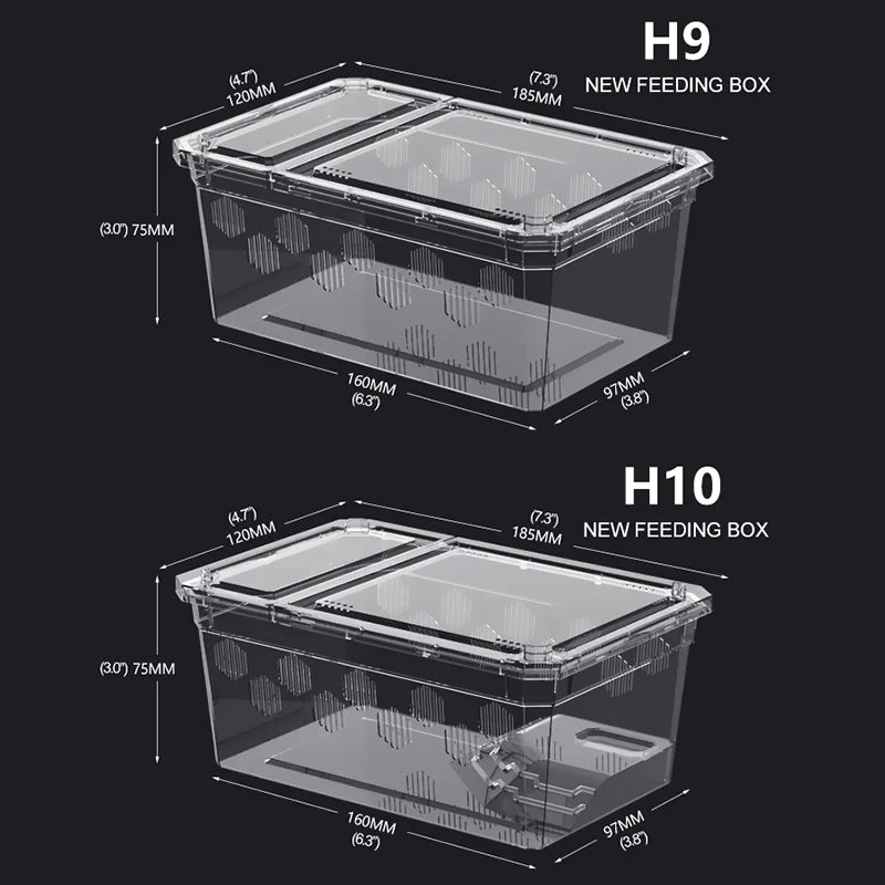 Reptile Breeding Feeding Box Transparent  Insect Rearing Hatching Containers Habitat Cage Inverts,Hatchling colubrids