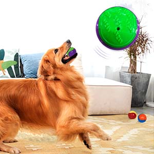 6 Sets Scooby-Doo Durable Squeaky Dog Balls Teeth Cleaning Interactive