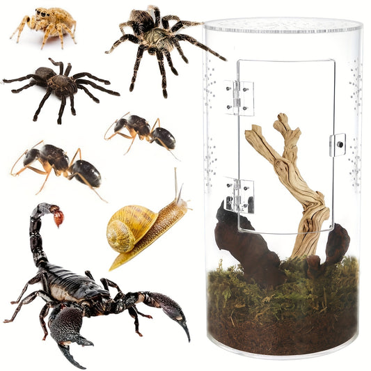 Acrylic Insect Habitat Cage 29.21x15.24x15.24cm - Transparent, Ventilated Terrarium for Spiders, Praying Mantises, Scorpions, Ants & Snails with Escape Door